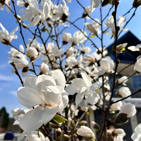 פארק נופש Wczasy 90s