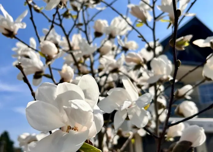 Holiday park Wczasy 90s