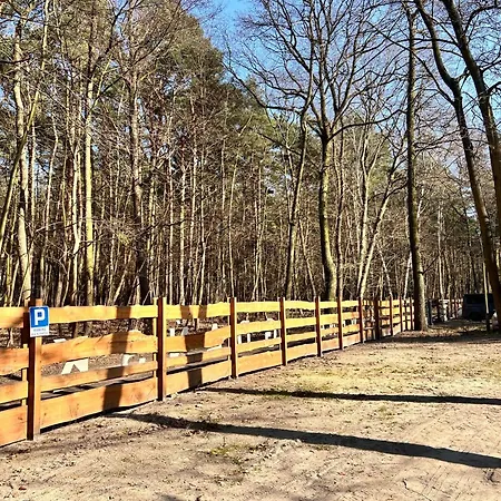 Wczasy 90s * Gdańsk